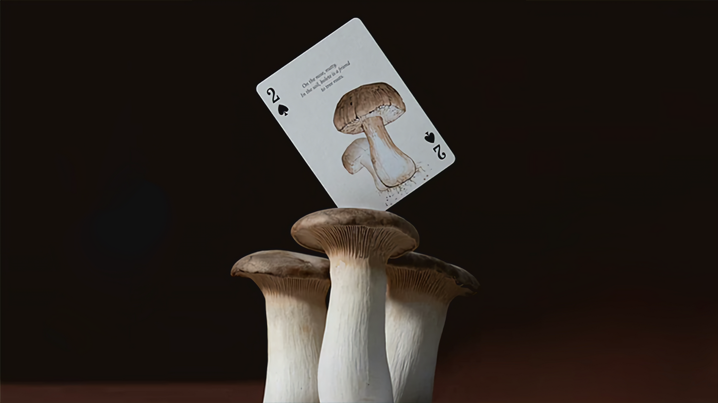 Eastern Forest by Art of Play : Playing Cards, Poker, Magic , Cardistry Singapore