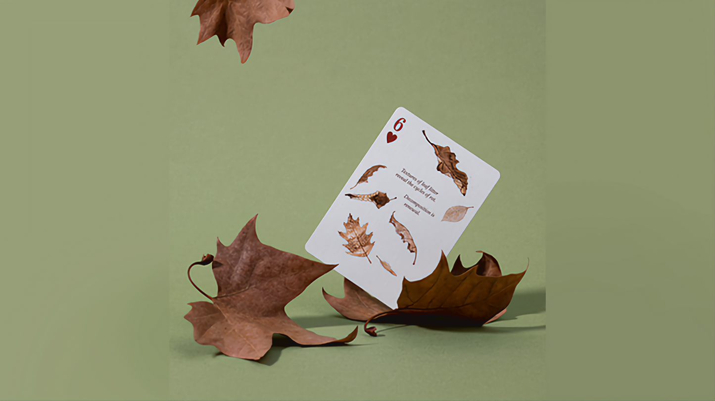 Eastern Forest by Art of Play : Playing Cards, Poker, Magic , Cardistry Singapore
