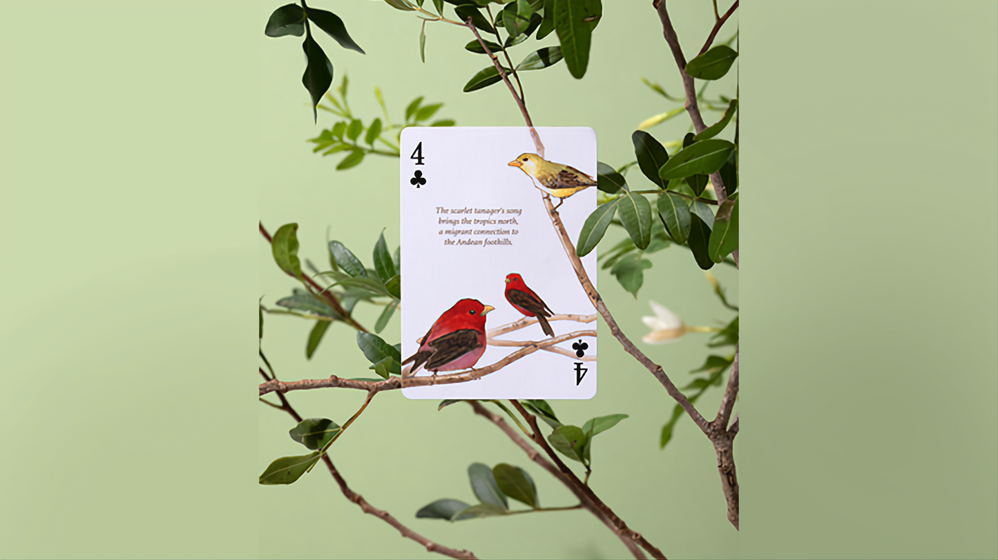 Eastern Forest by Art of Play : Playing Cards, Poker, Magic , Cardistry Singapore