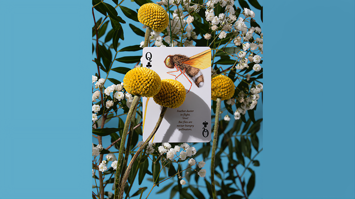 Eastern Forest by Art of Play : Playing Cards, Poker, Magic , Cardistry Singapore