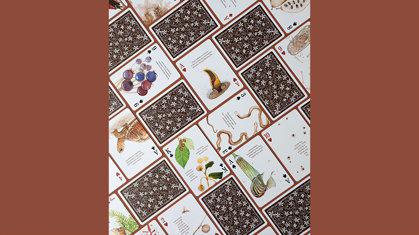 Eastern Forest by Art of Play : Playing Cards, Poker, Magic , Cardistry Singapore
